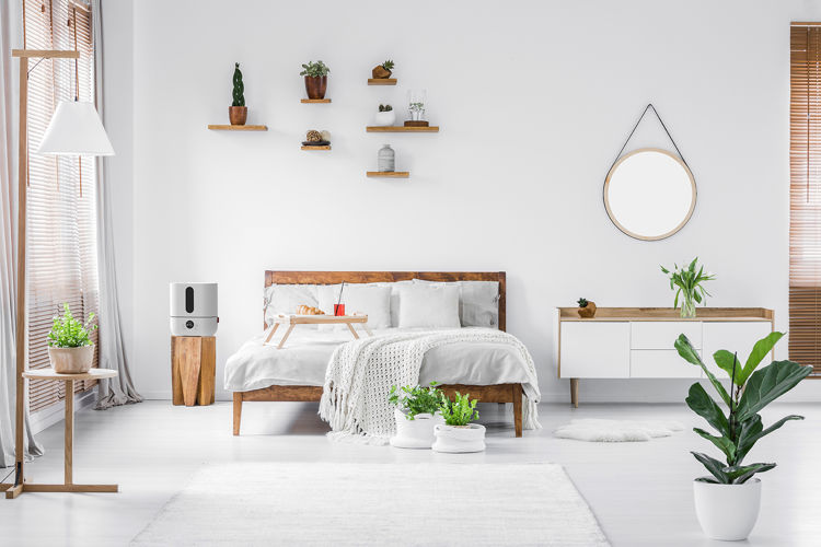 Mynd Boneco U250 rakatæki