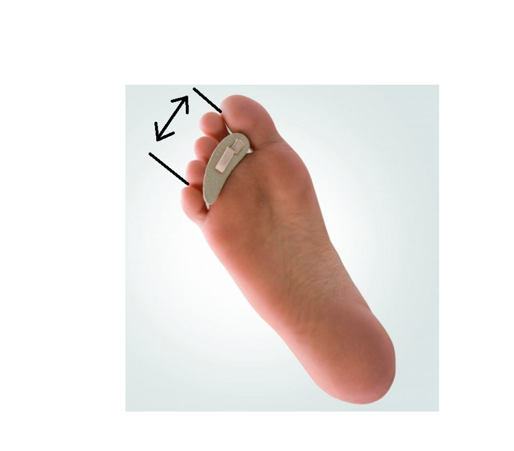 Mynd Púði fyrir hamartær