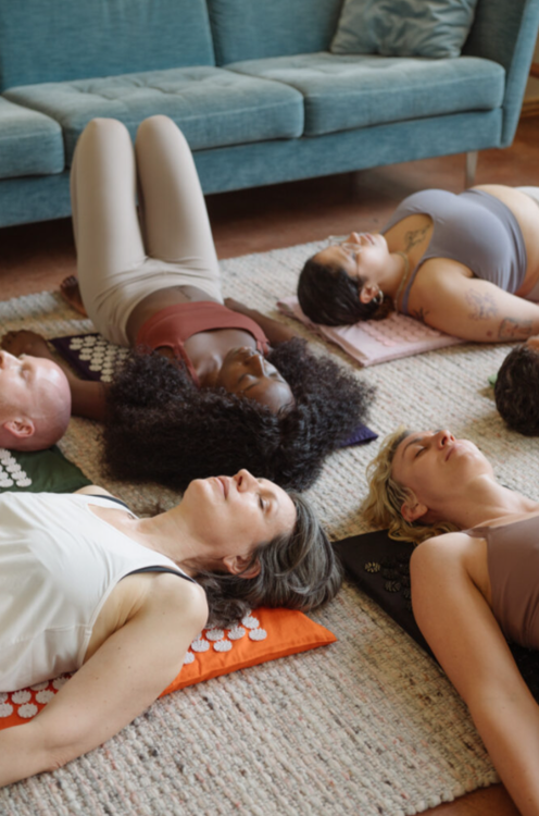 Mynd Shakti Nálastungudýna Standart Lavander