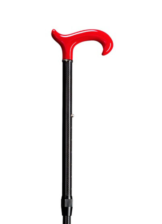 Mynd Stafur Carbon F1